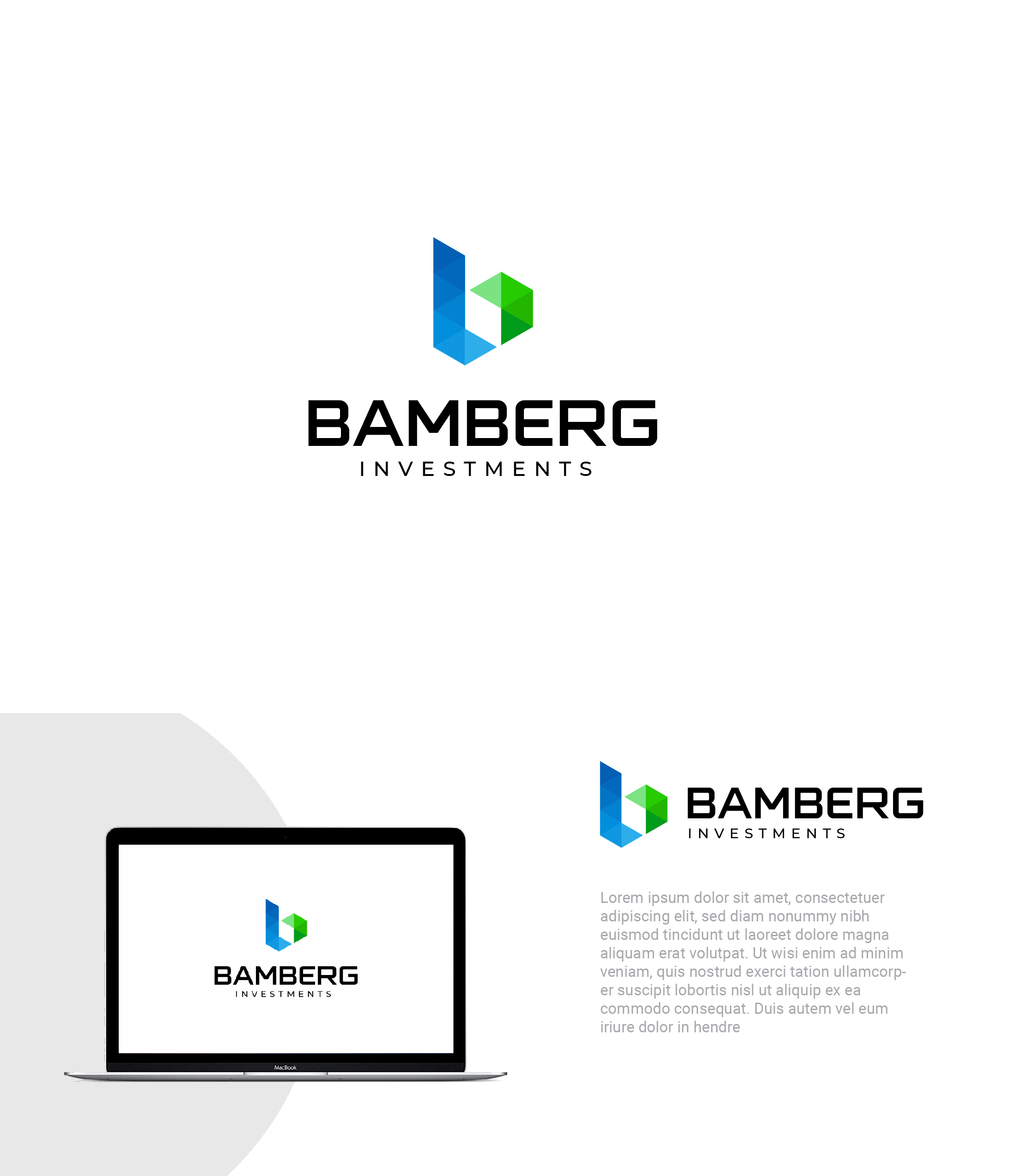 Serious, Modern Logo Design for Bamberg Investments by RikoAji Design
