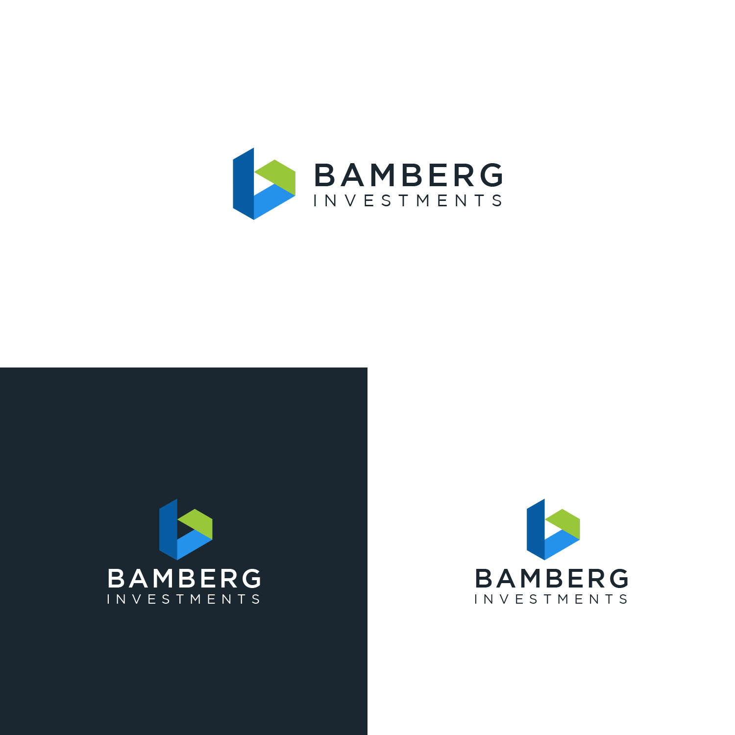 Serious, Modern Logo Design for Bamberg Investments by yesha05 Design
