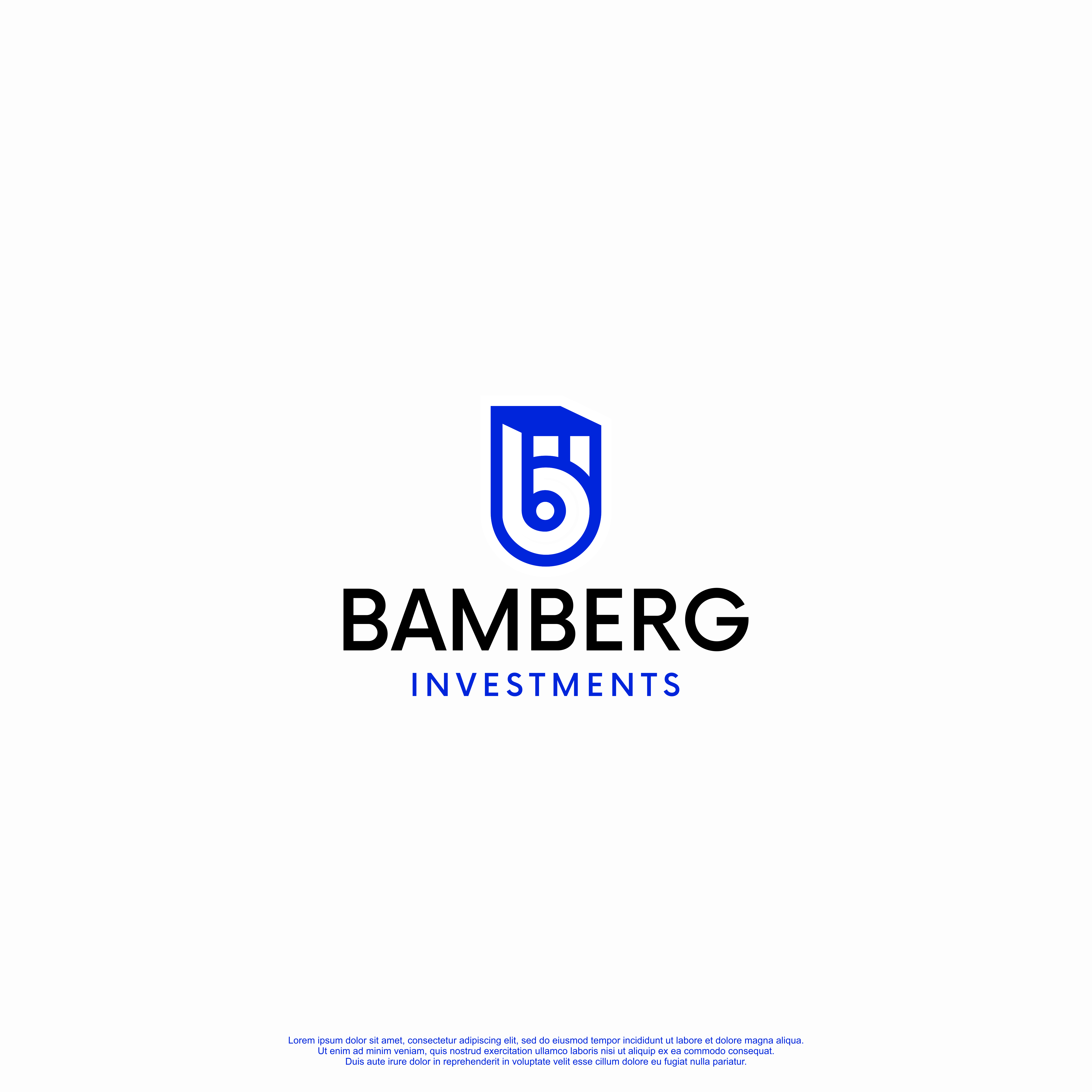Serious, Modern Logo Design for Bamberg Investments by R!CKY Design