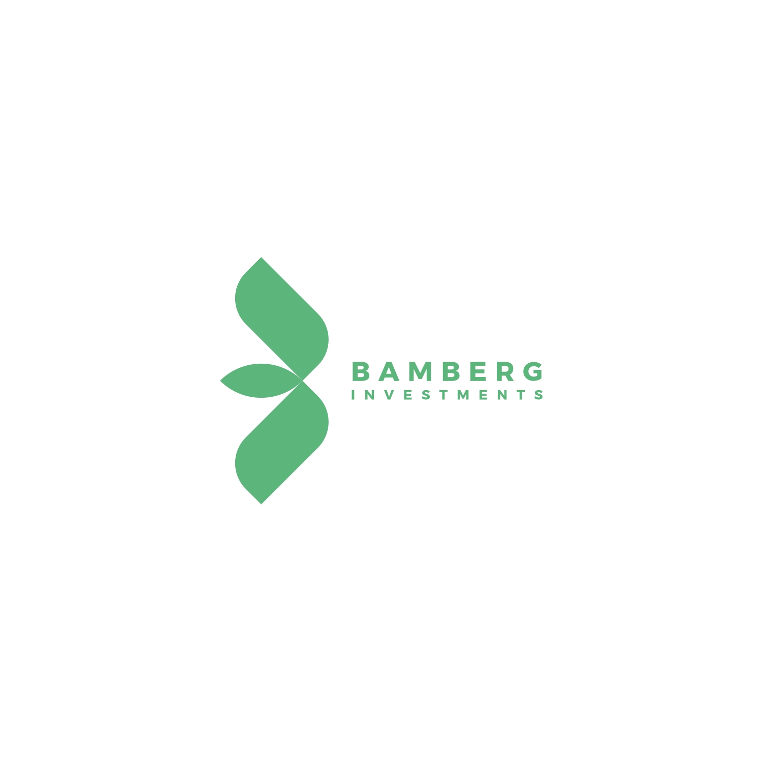 Serious, Modern Logo Design for Bamberg Investments by derho Design