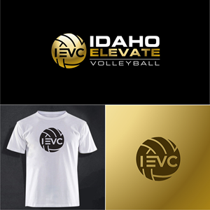 Logo Design by Revolt Team