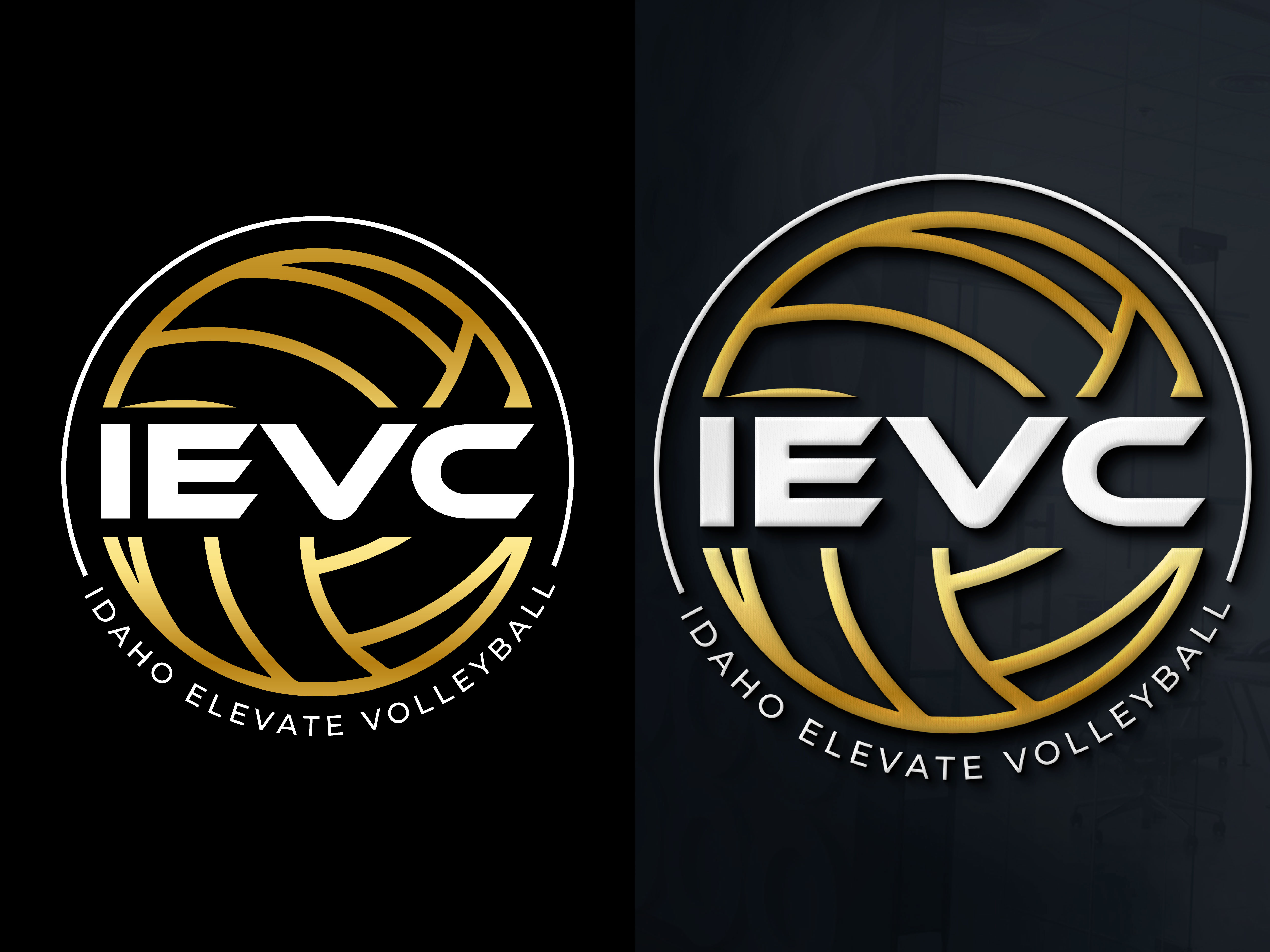 Logo Design by BabyDriverFour for this project | Design #29607068