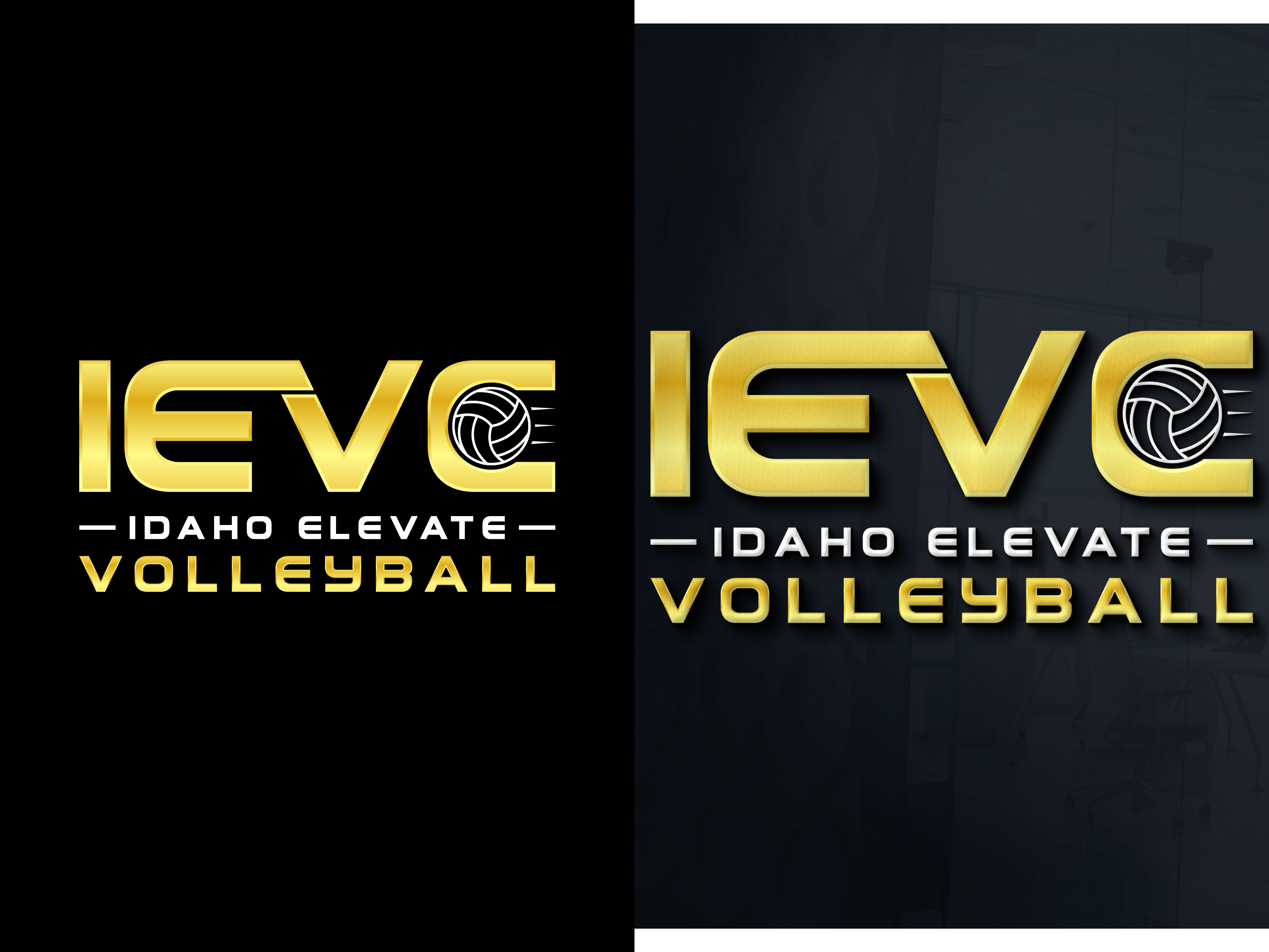 Logo Design by BabyDriverFour for this project | Design #29607070