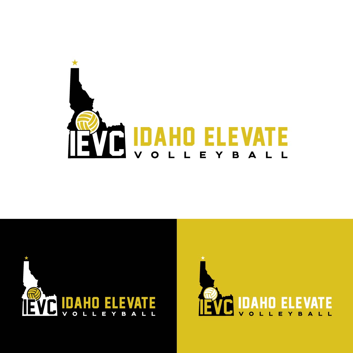 Logo Design by fly  design for this project | Design #29606545
