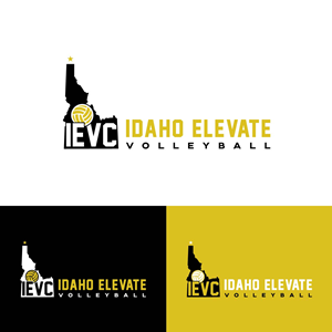 Logo Design by fly  design for this project | Design: #29606545