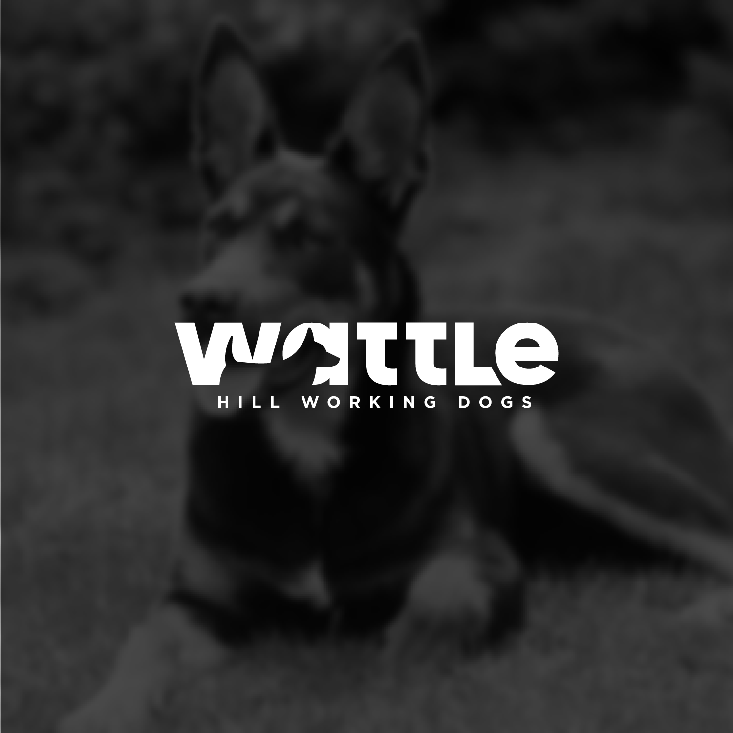 Logo Design by Abdul 20 for Three Rivers Environmental | Design #29612386