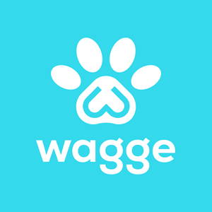 Logo Design by BoboiBoy Api