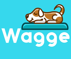 Logo Design by GM Arts
