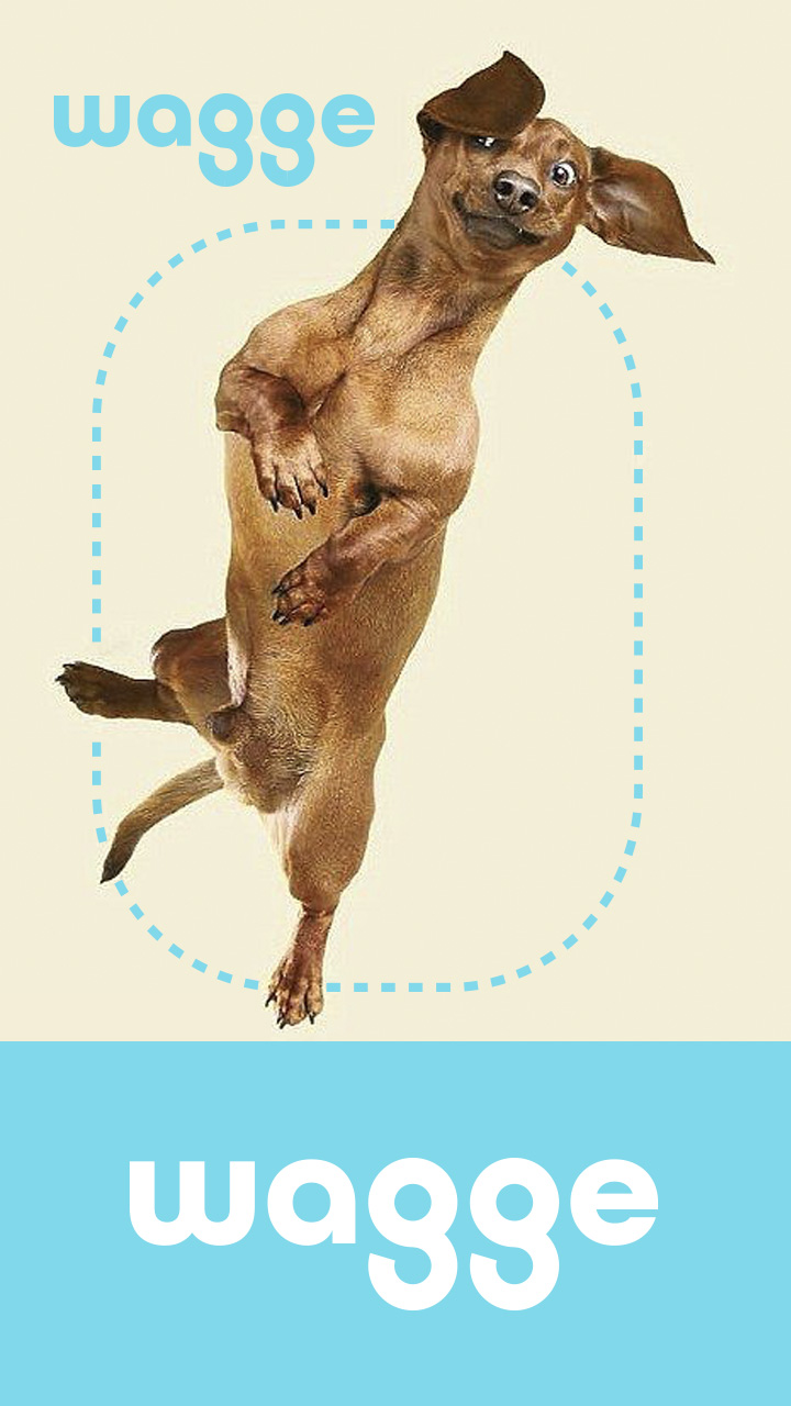 Diseño de Logo por simple mind para este proyecto | Diseño #29605943