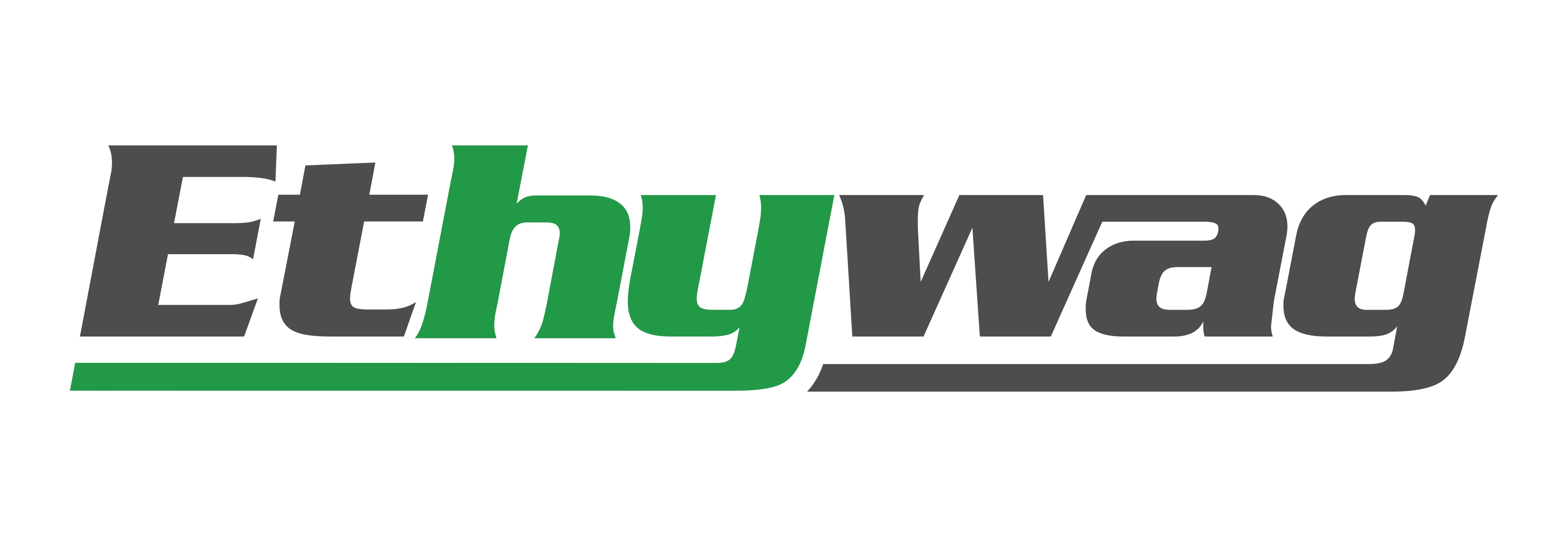 Logo Design by Liyana for ETHYWAG | Design #29778327