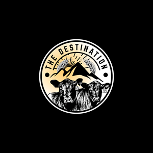 Logo Design by vidarshana 2