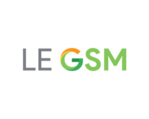 Logo Design by deZoel