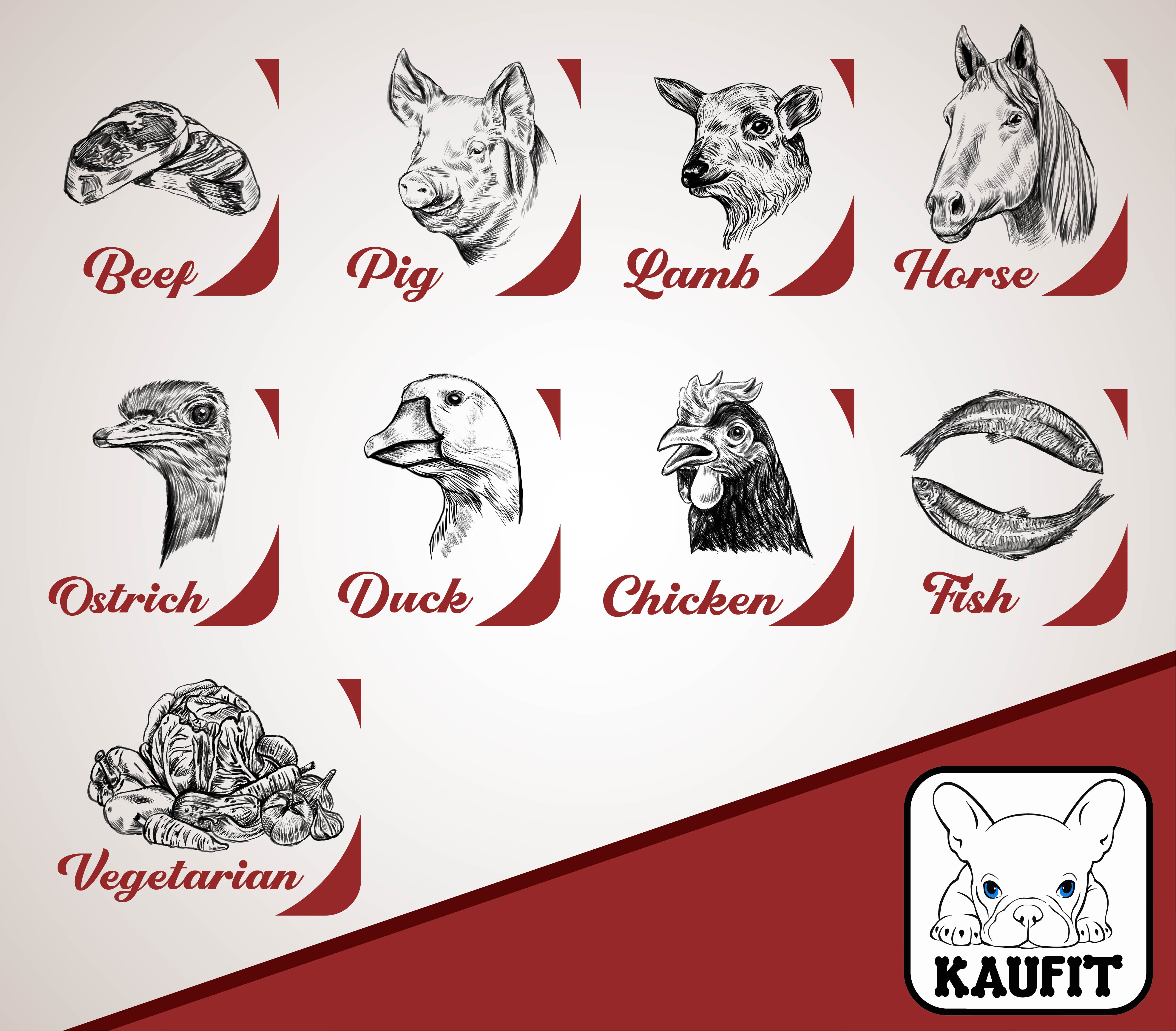 Illustration Design by Mario 11 for this project | Design #29622328