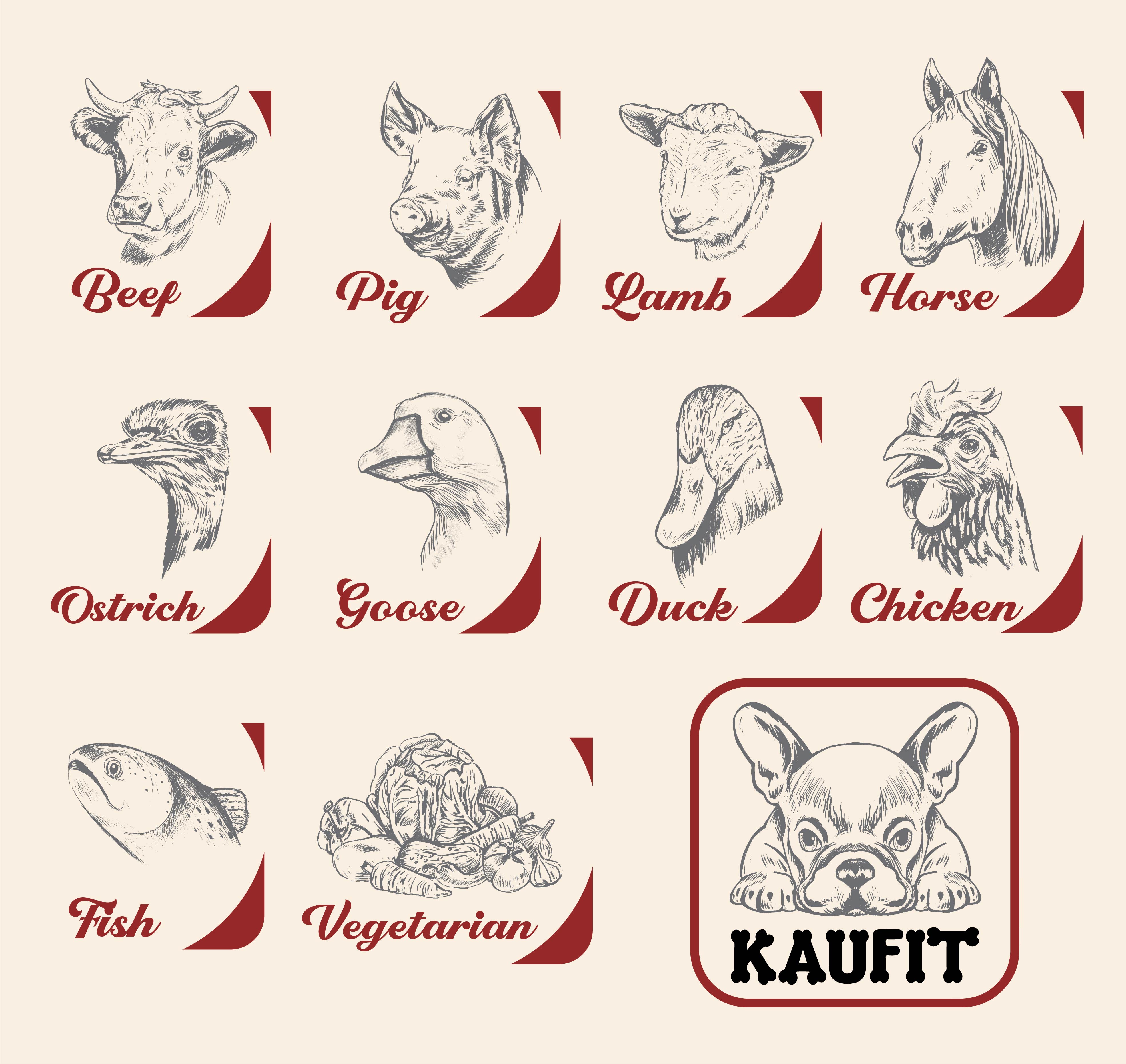 Illustration Design by Mario 11 for this project | Design #29629095