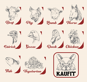Illustration Design by Mario 11 for this project | Design: #29629095