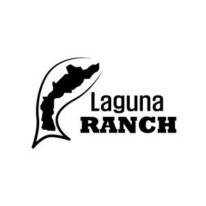 Logo-Design von Sergio Medina für dieses Projekt | Design: #29618330