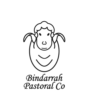 Logo Design by LoreDesign