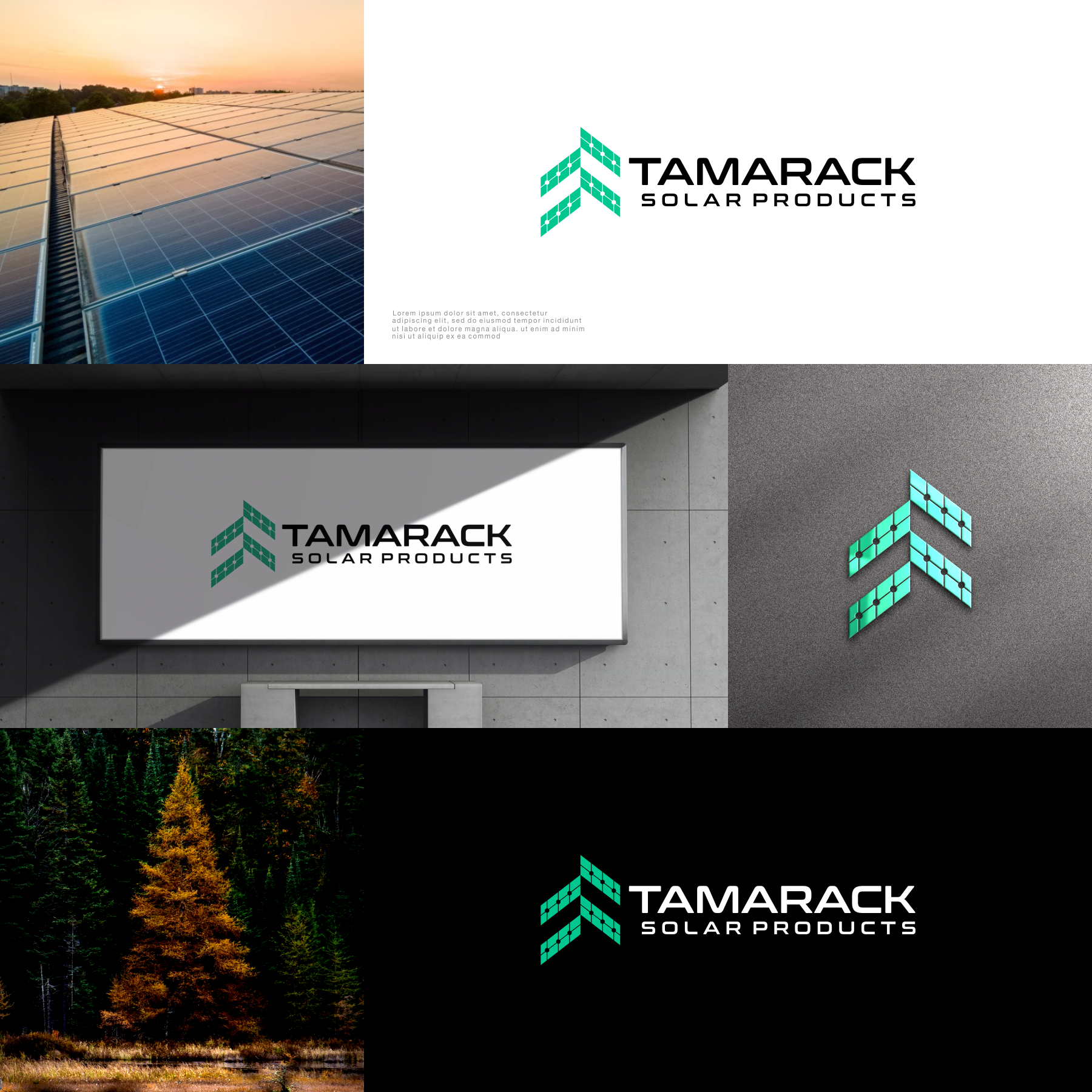 Logo-Design von sabina aiko für The Solar Shack | Design #29674450