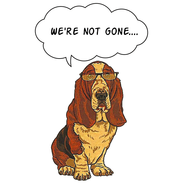 Diseño de Mercadeo por Correo Electrónico por SimpleDoodle Design Studio para este proyecto | Diseño #29651881