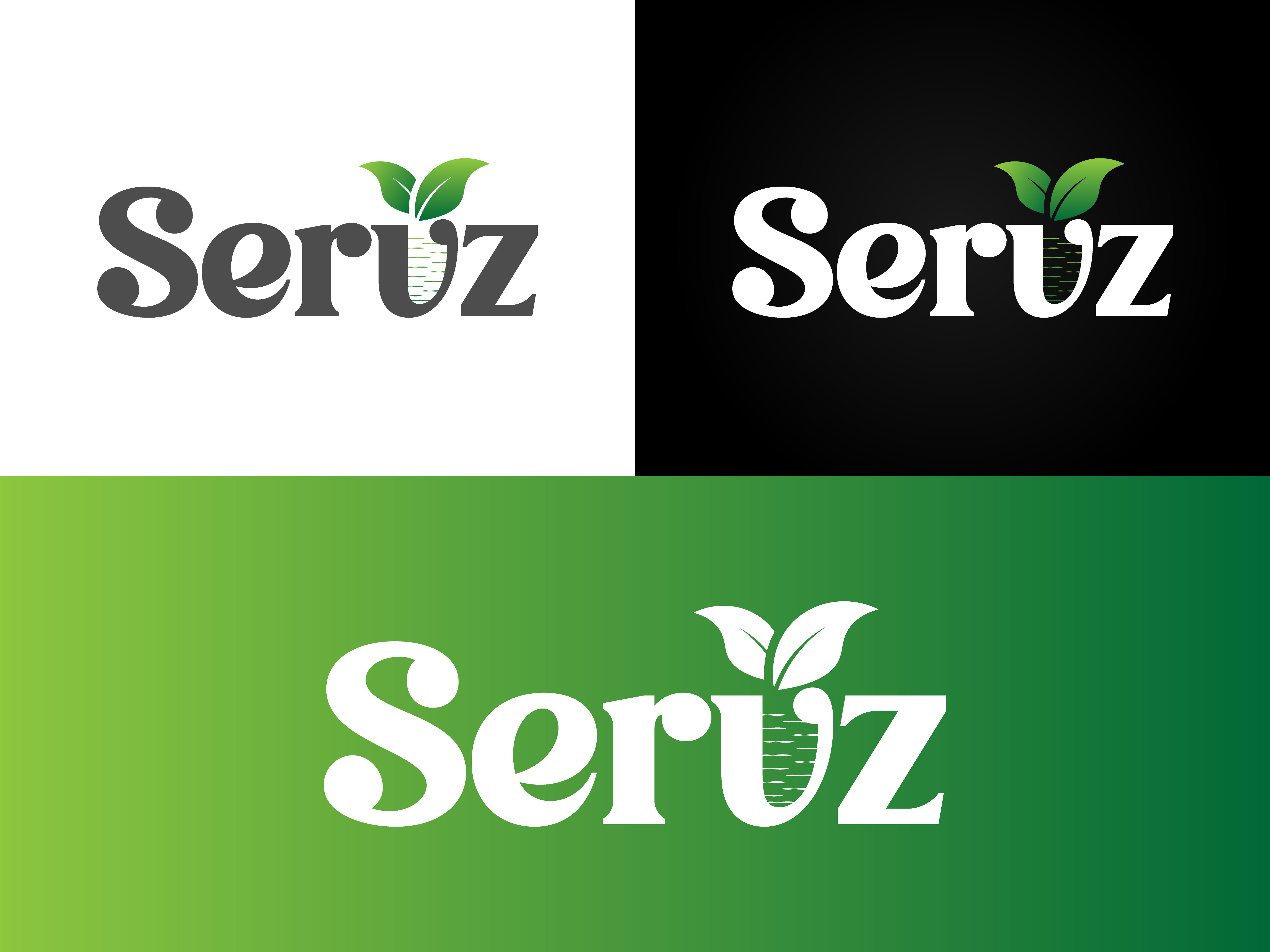 Logo Design by BabyDriverFour for this project | Design #29630876