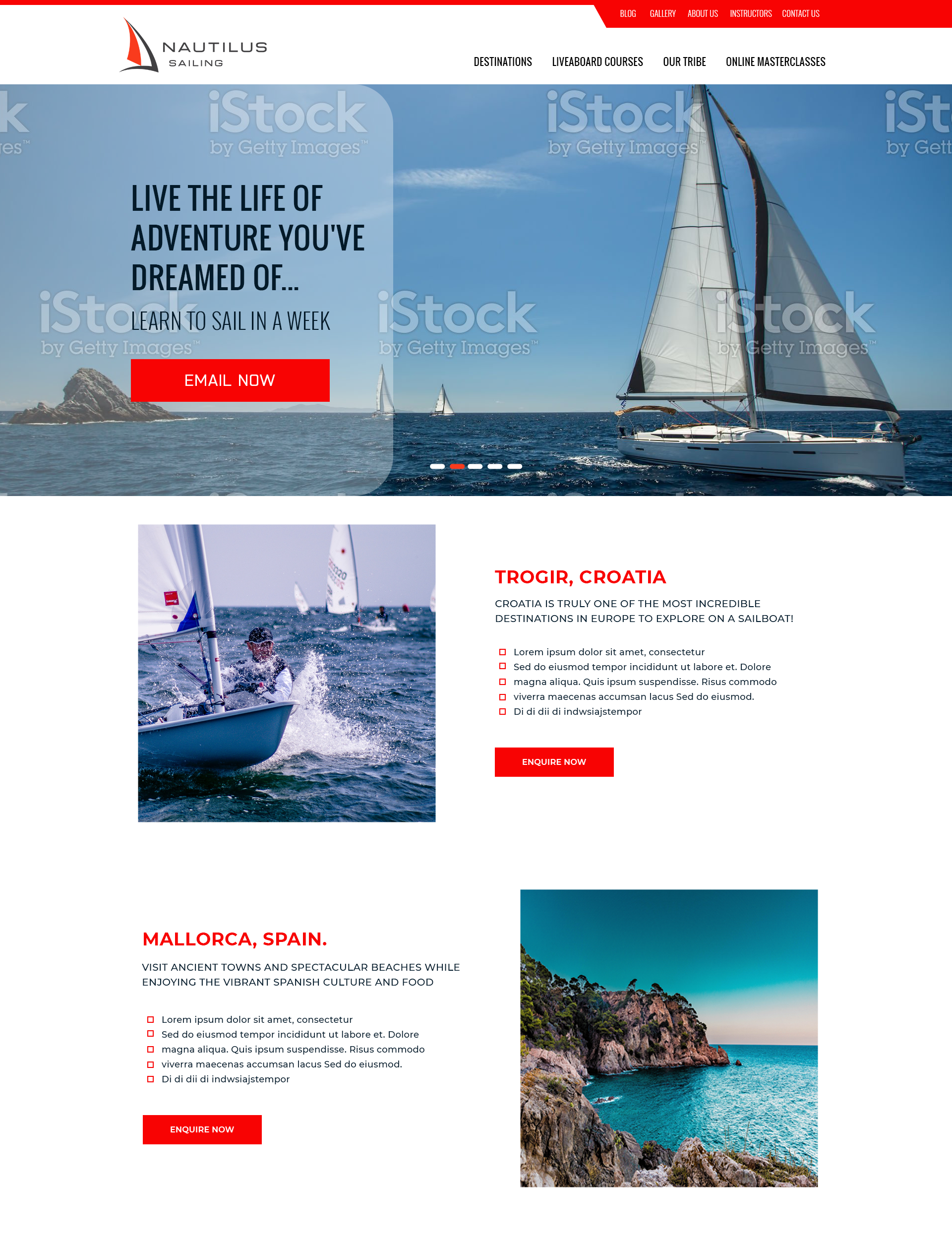 Web Design by Expert Designer for Ergo Digital Limited | Design #29648461
