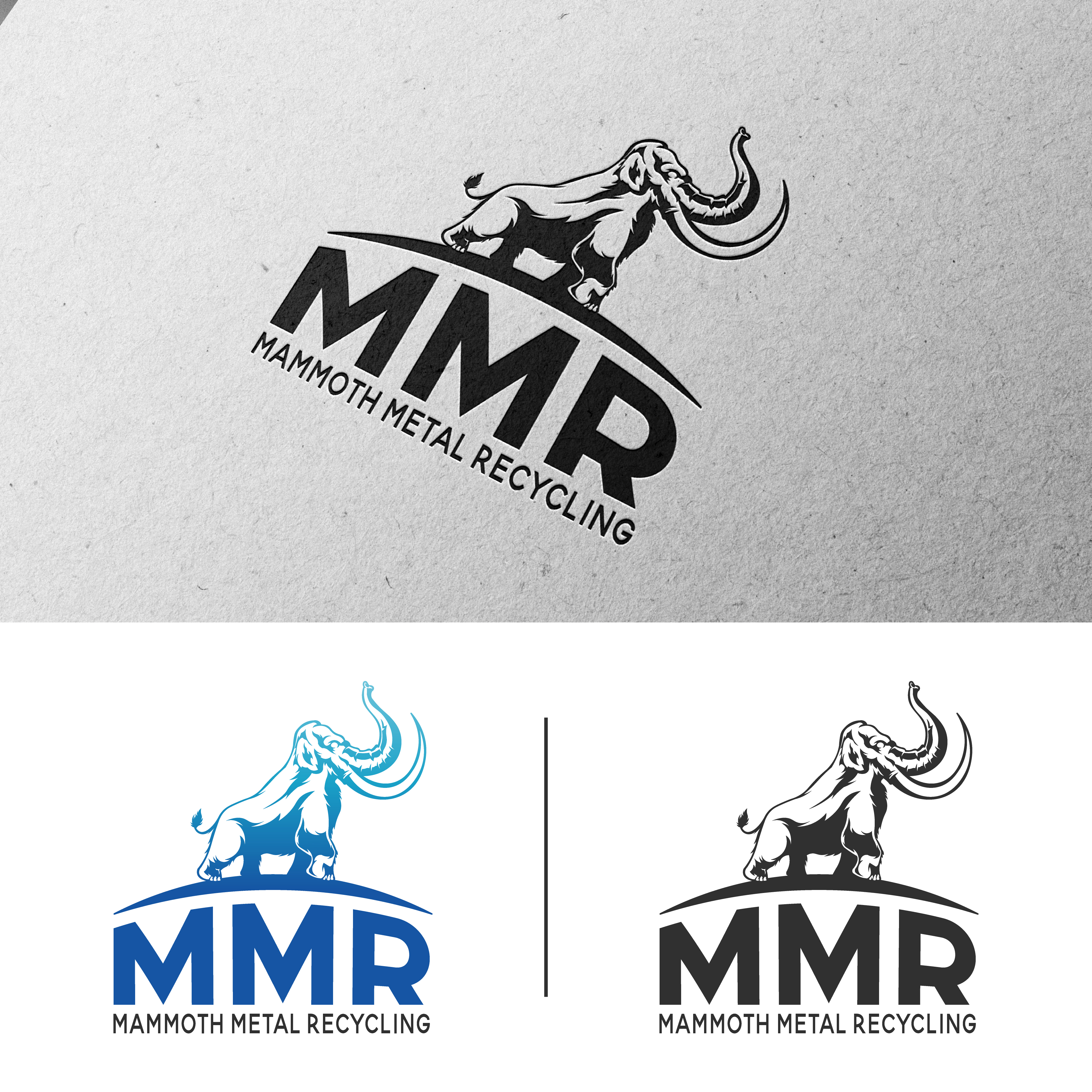 Diseño de Logo por Designx333 para este proyecto | Diseño #29642813