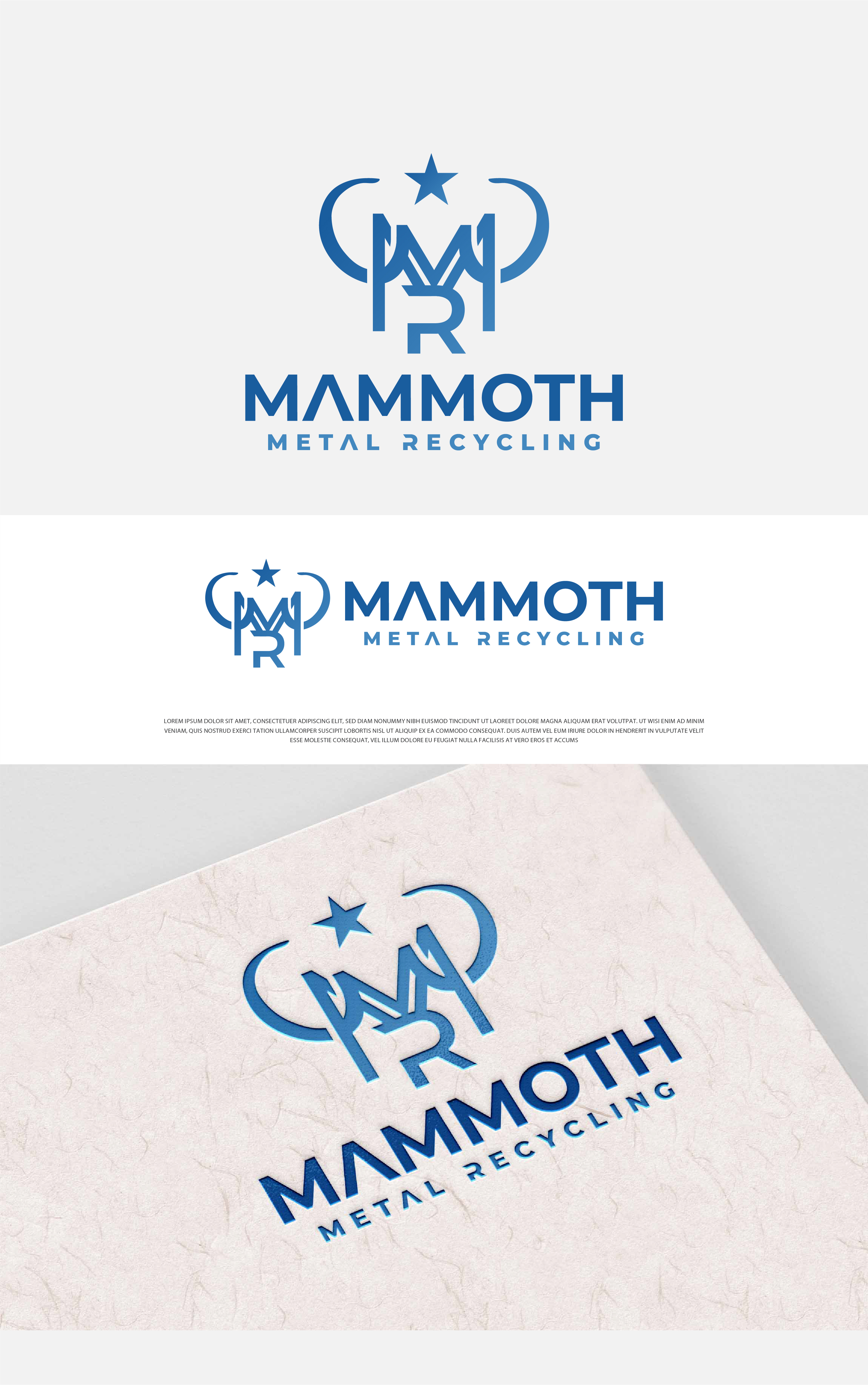 Logo Design by Fezy Design Studio for this project | Design #29643995