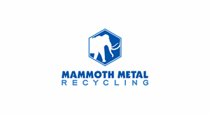 Logo Design by Borago for this project | Design: #29646240