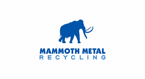 Logo Design by Borago for this project | Design: #29646241