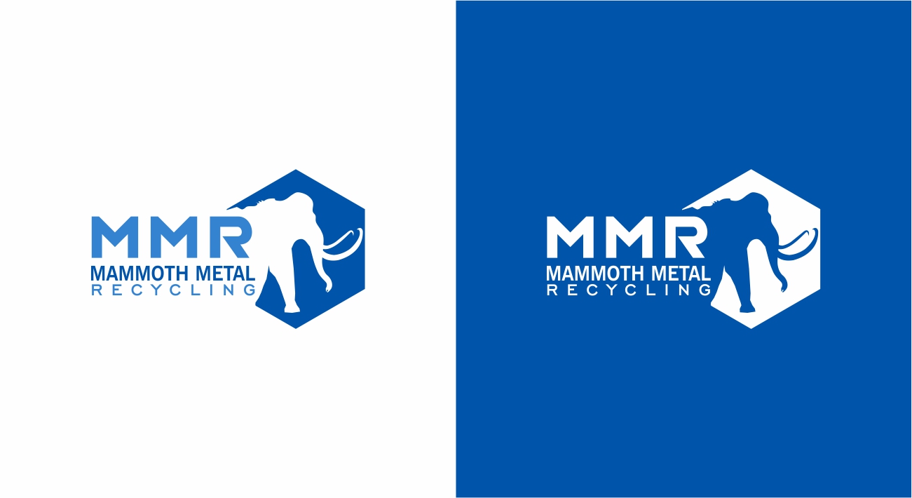 Logo Design by Borago for this project | Design #29657784
