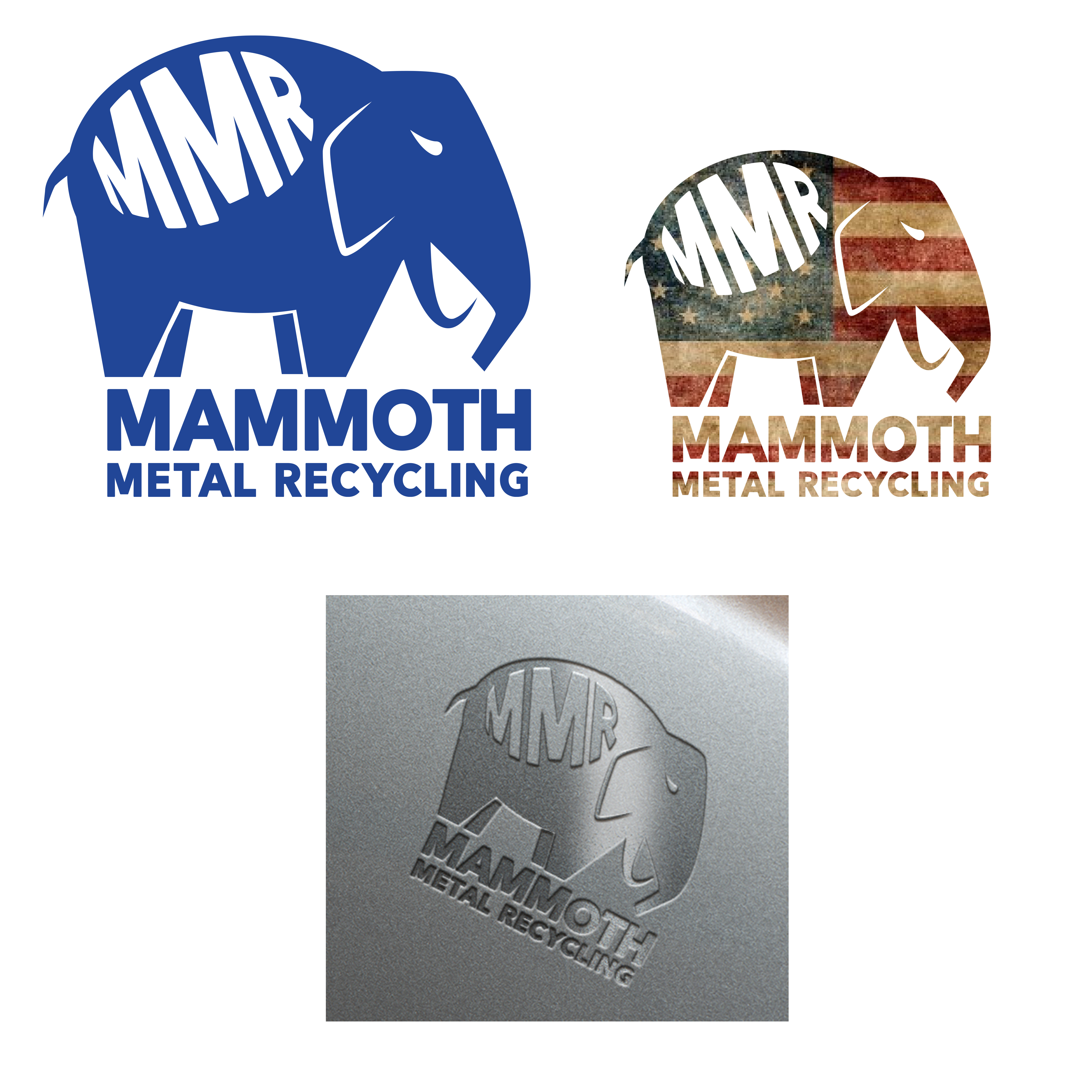 Logo Design by Michael 209 for this project | Design #29651131