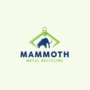Diseño de Logo por creative.bugs para este proyecto | Diseño: #29644547