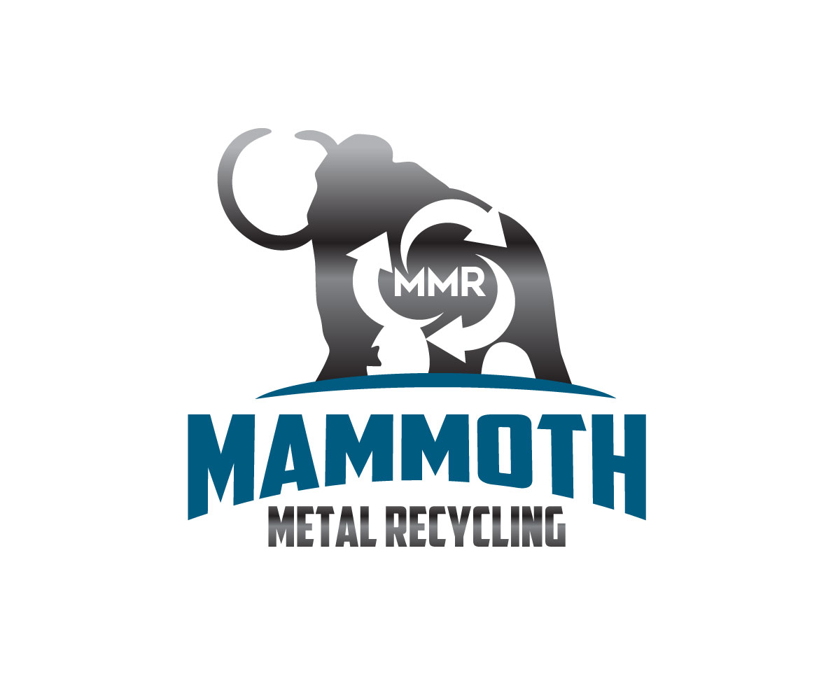 Logo Design by Ansh Design for this project | Design #29637858