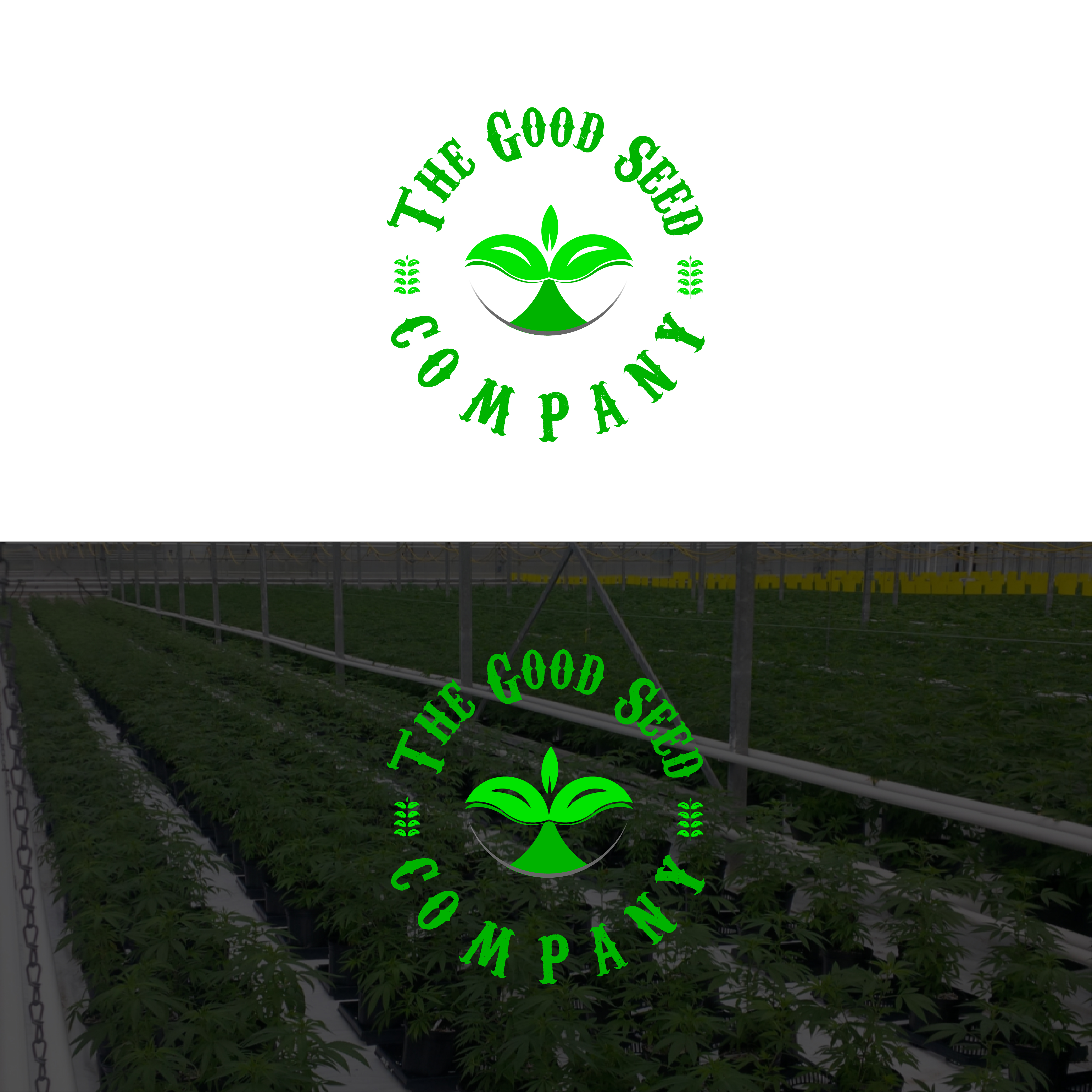 Logo Design by DesignFill for this project | Design #29639508