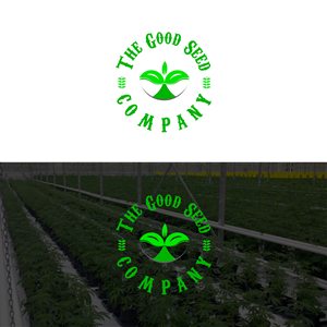 Logo Design by DesignFill