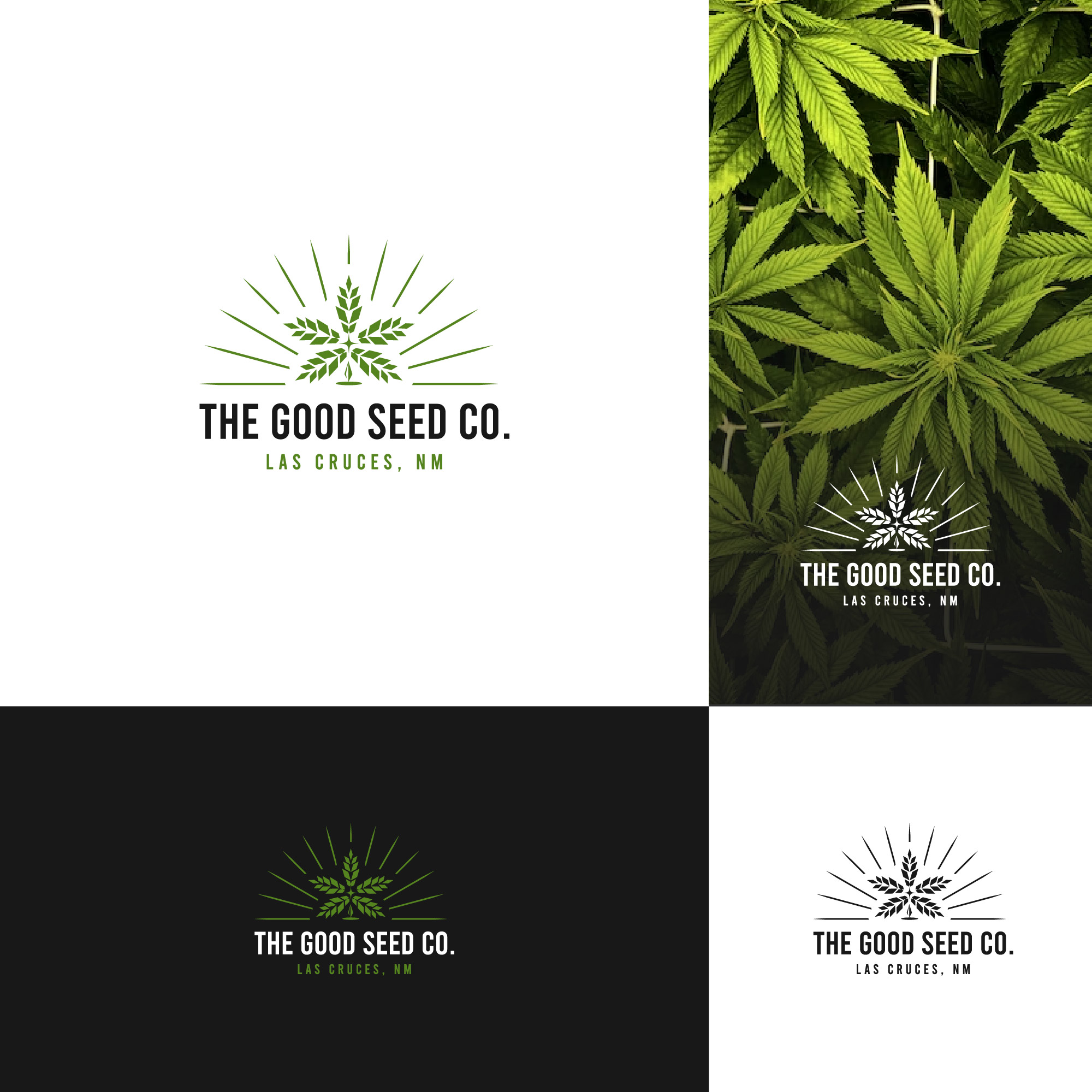 Logo Design by Skivisual for this project | Design #29662907