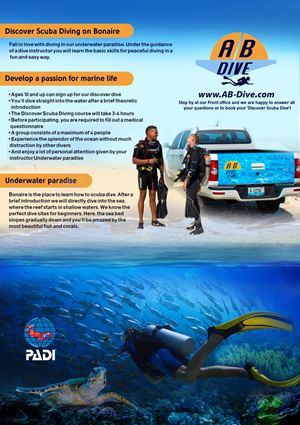 Flyer Design by Sief for AB Dive | Design: #29645158