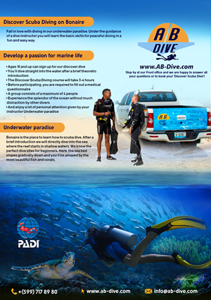 Flyer Design by Sief for AB Dive | Design #29659243