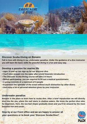 Flyer Design by Ricardo Soares for AB Dive | Design #29642873