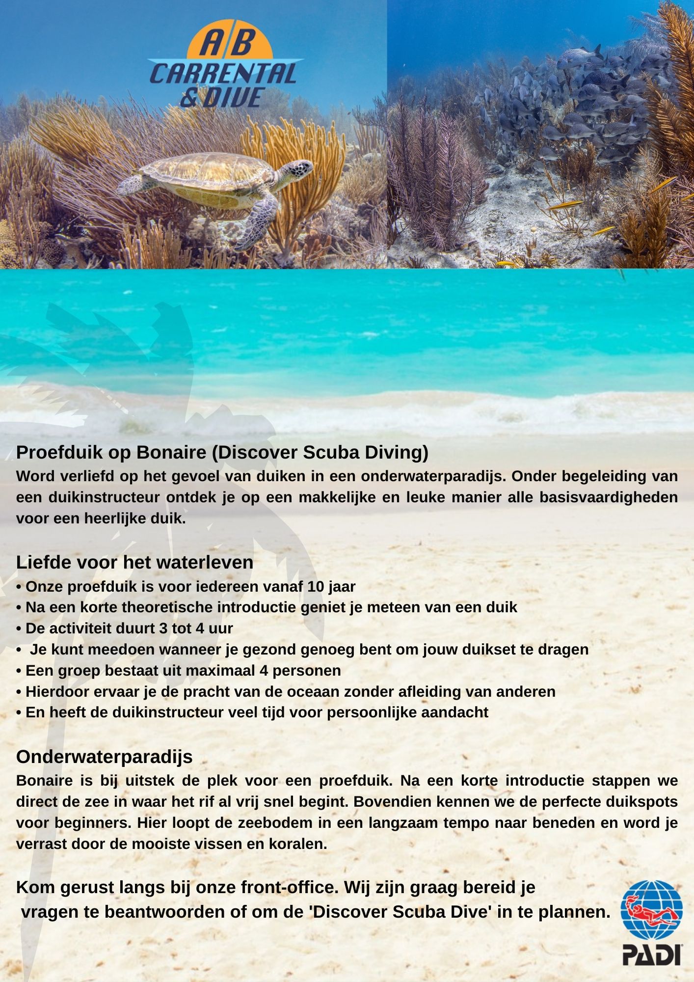Flyer Design by Ricardo Soares for AB Dive | Design #29642878