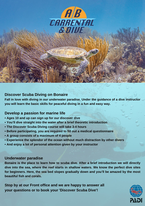 Flyer Design by Ricardo Soares for AB Dive | Design: #29642879