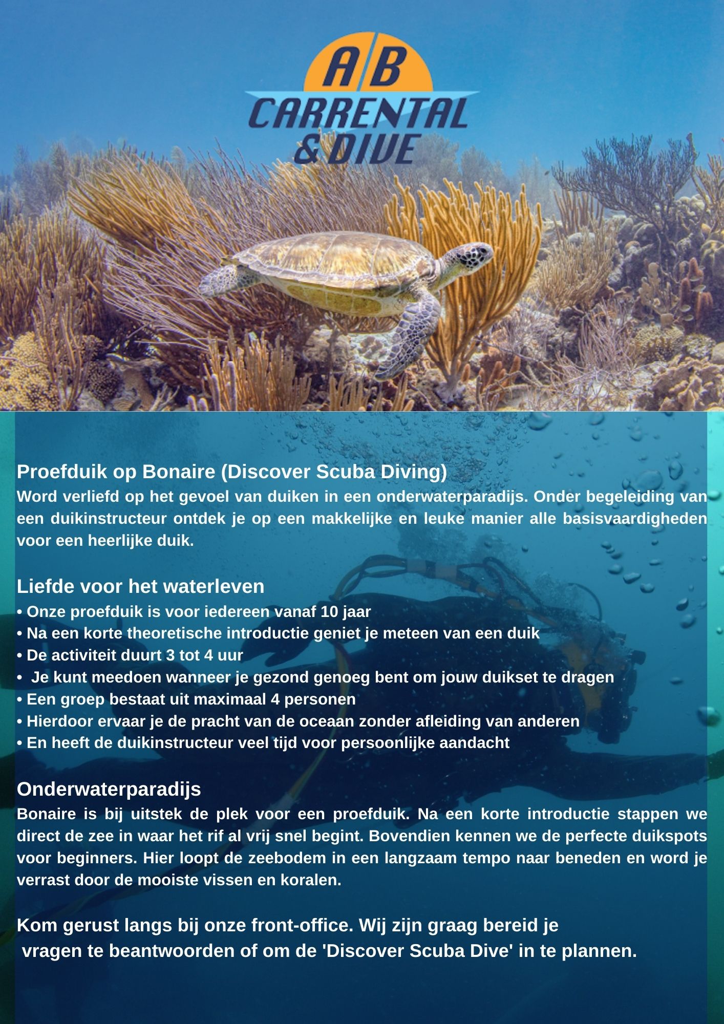 Flyer Design by Ricardo Soares for AB Dive | Design #29642882
