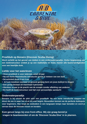 Flyer Design by Ricardo Soares for AB Dive | Design: #29642882