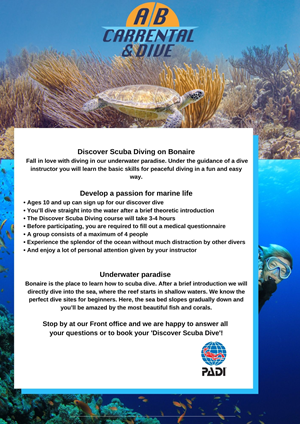Flyer Design by Ricardo Soares for AB Dive | Design: #29642883