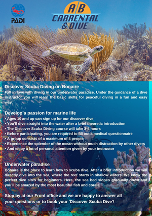 Flyer Design by Ricardo Soares for AB Dive | Design: #29642888