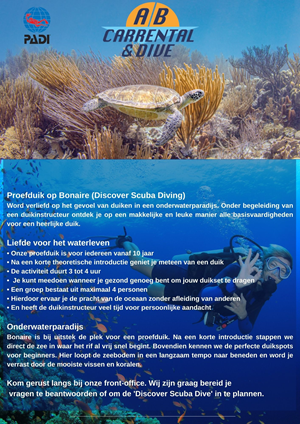 Flyer Design by Ricardo Soares for AB Dive | Design: #29642889