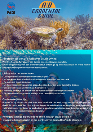 Flyer Design by Ricardo Soares for AB Dive | Design: #29642890