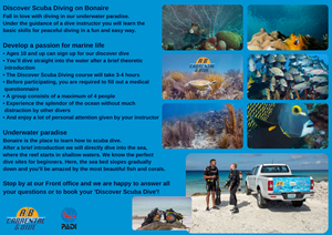 Flyer Design by Ricardo Soares for AB Dive | Design: #29645252