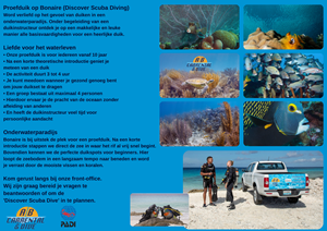 Flyer Design by Ricardo Soares for AB Dive | Design: #29645253
