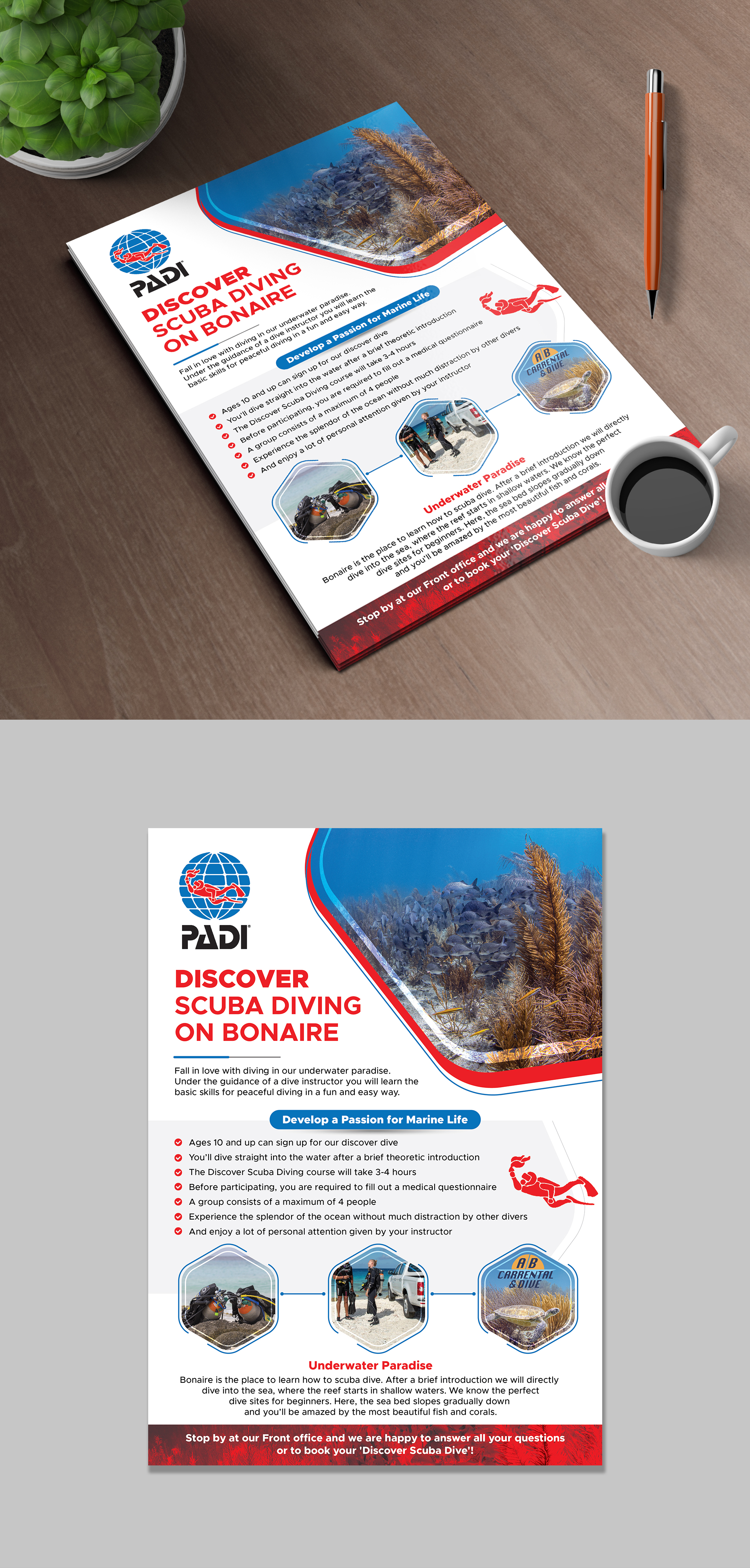 Flyer Design by 123graphics for AB Dive | Design #29643709